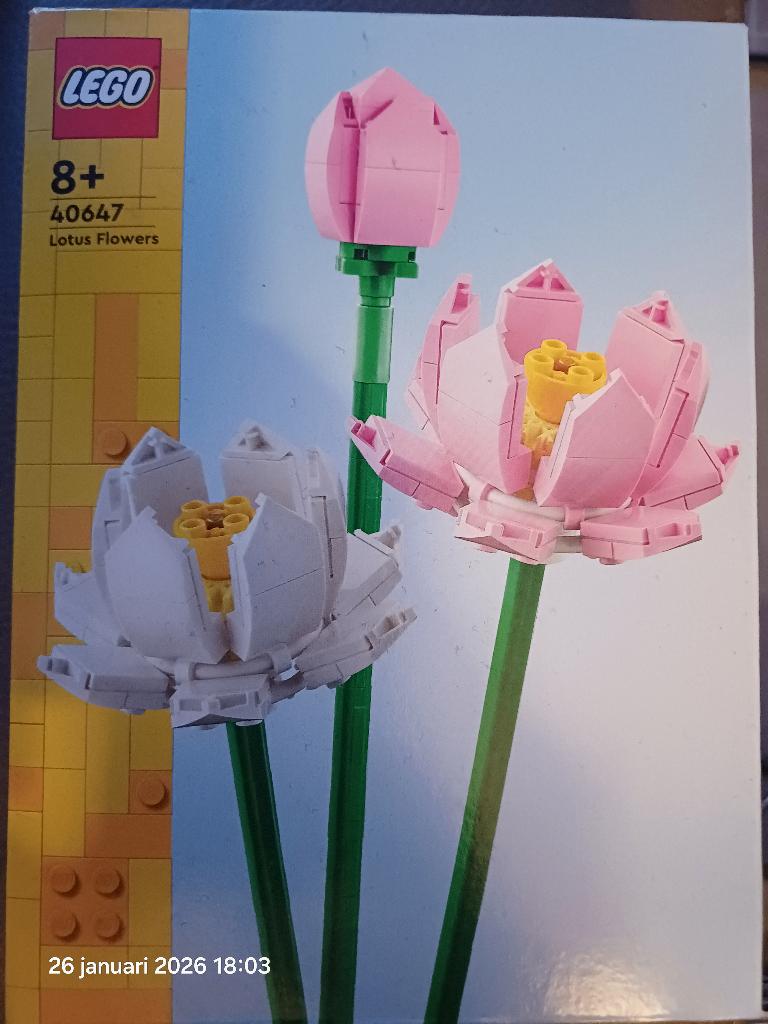 Lego lotusbloem (nieuw), Ophalen, Nieuw