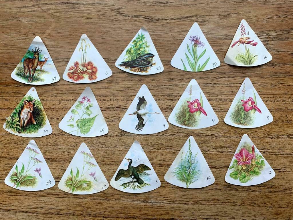 Zeldzame planten, dieren, vogels van Belgie, Ophalen of Verzenden