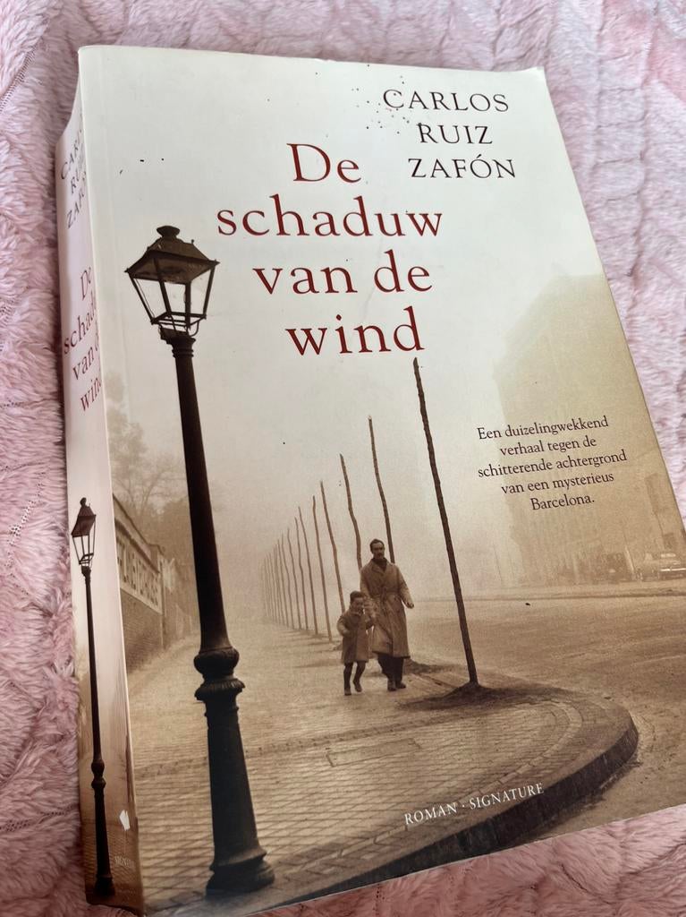 Carlos Ruiz Zafón - De schaduw van de wind, Ophalen of Verzenden, Zo goed als nieuw, Carlos Ruiz Zafón