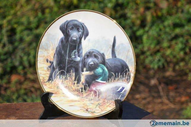 assiette porcelaine chien beginners luck signée 1991 n°s1718, Antiquités & Art