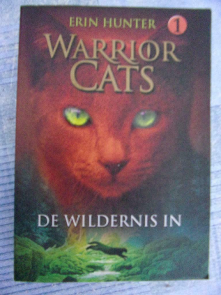 Warrior Cats - De wildernis in, Enlèvement ou Envoi, Neuf