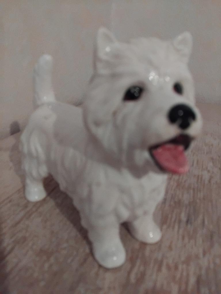 statue  Westie  ou West Highland White Terrier, Enlèvement ou Envoi, Utilisé, Chien ou Chat, Autres types