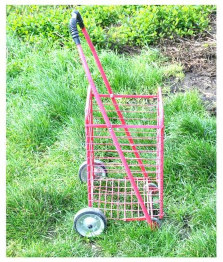 §caddy de course en métal pliable, Handtassen en Accessoires, Ophalen of Verzenden, Gebruikt, Rood