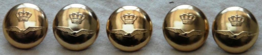 Knopen Lotje, Uniform DT, KLu, diameter 22mm, 5 stuks.(Nr.3), Ophalen of Verzenden, Luchtmacht, Overige typen