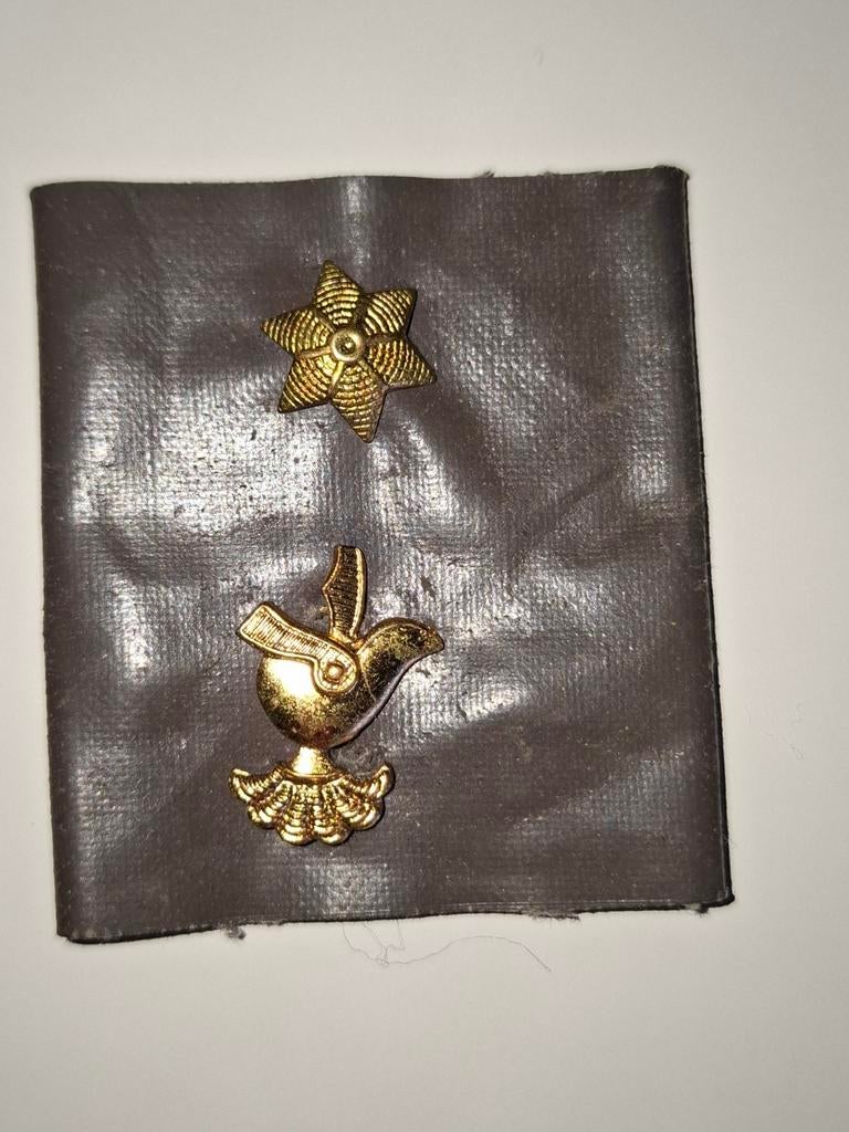 Écusson d'épaule Para Commando, Collections, Envoi