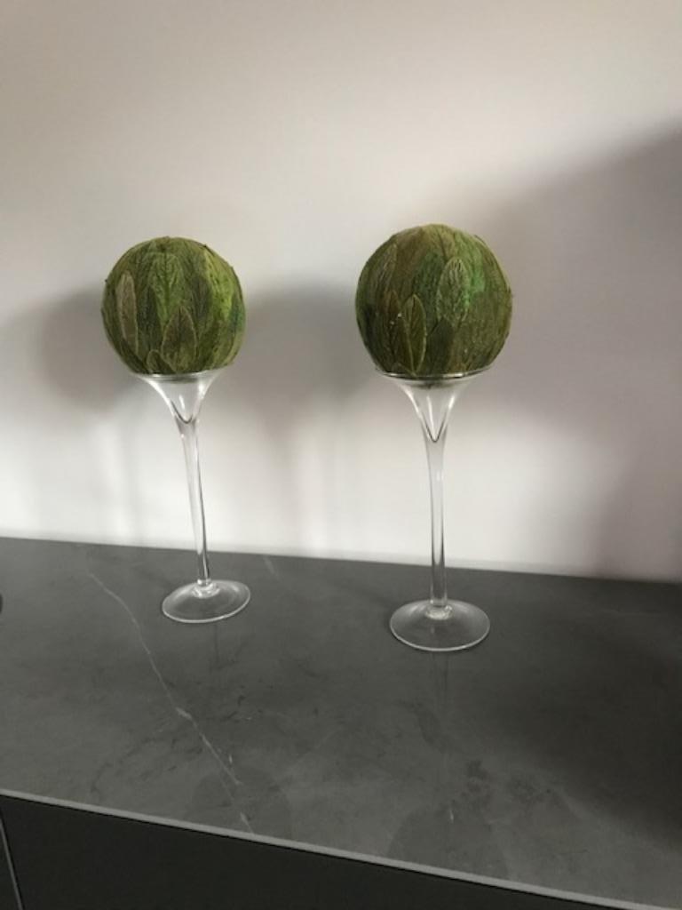 tulpvazen met isomobol gevriesdroogde bladeren - nieuw, Ophalen of Verzenden