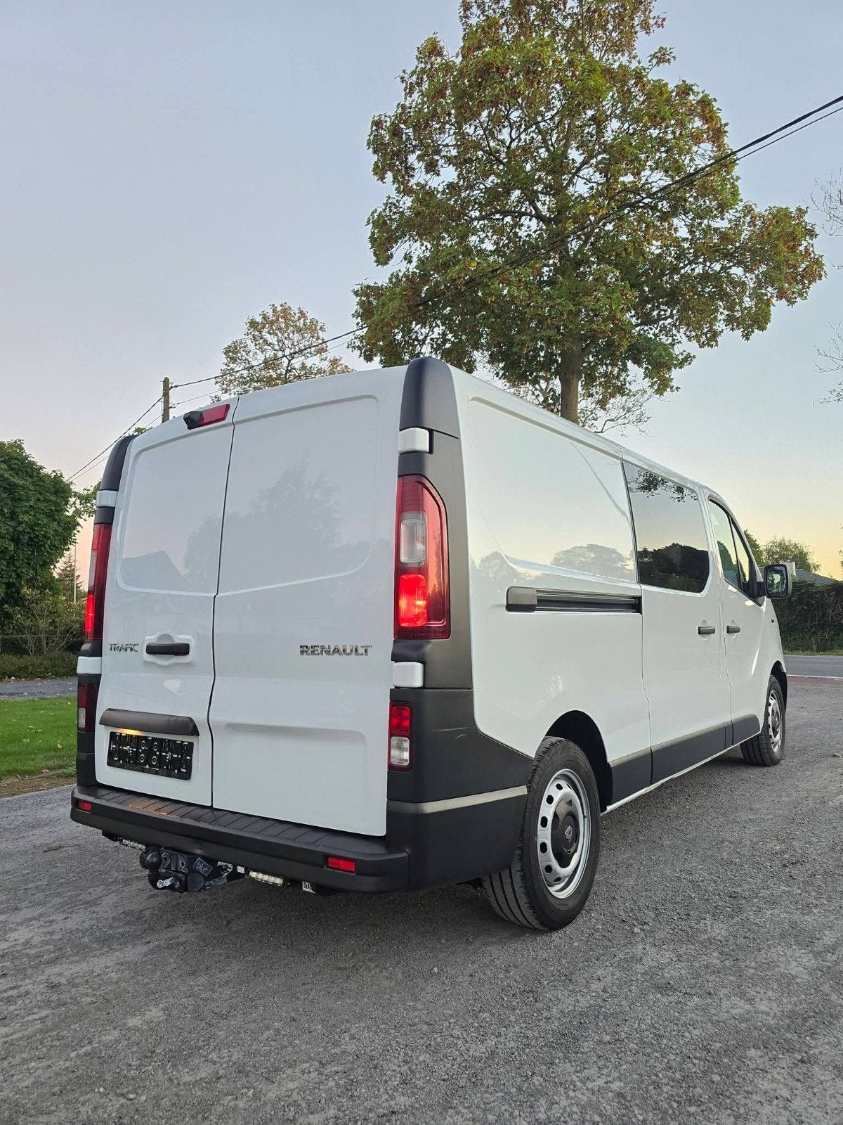 Caméra Renault Trafic à cabine double 6L Light Cargo/Navi, Autos, 90 kW, Euro 5, Entreprise, 2000 kg