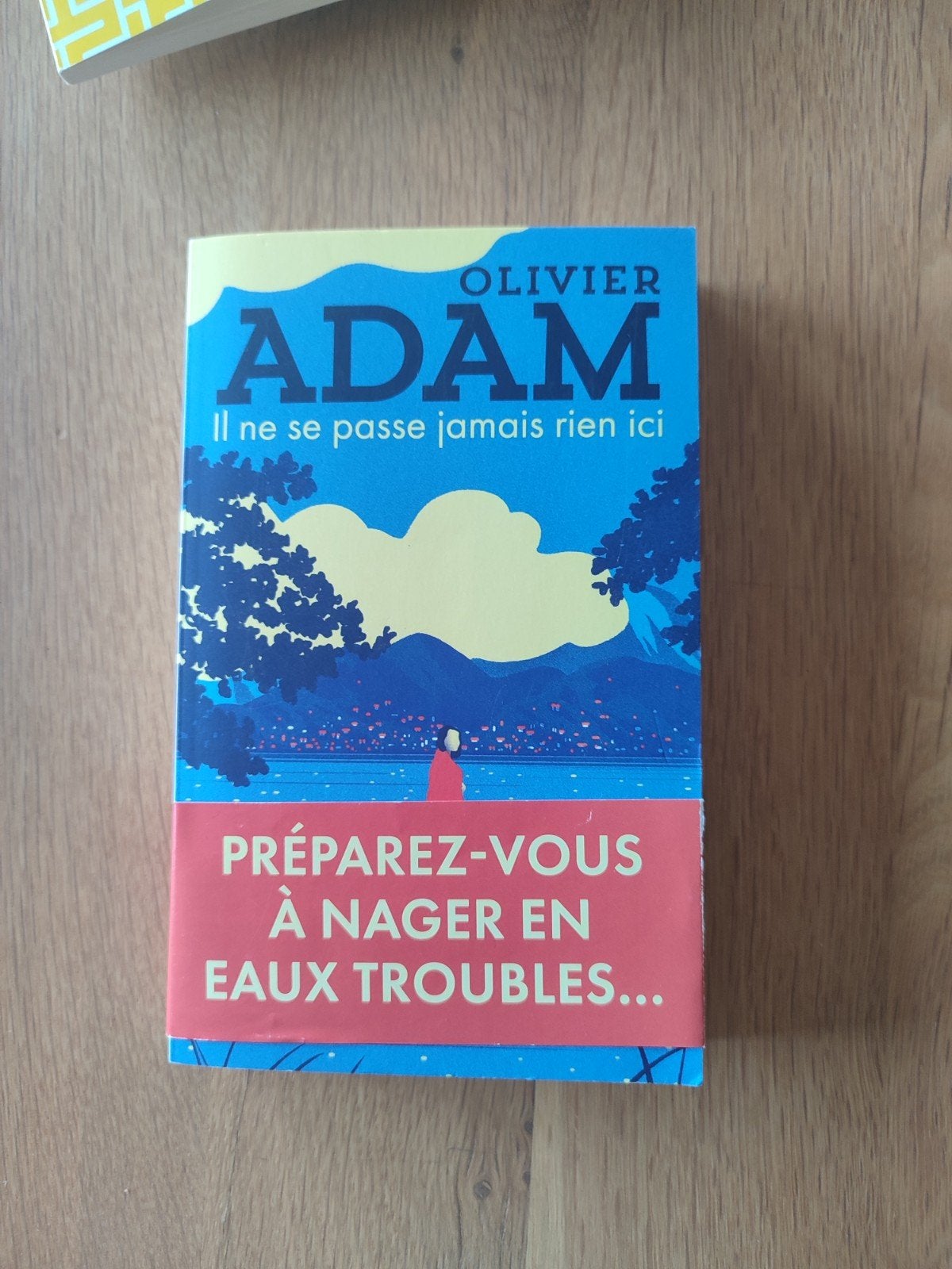 livre de poche olivier adam, Enlèvement, Comme neuf, Olivier adam