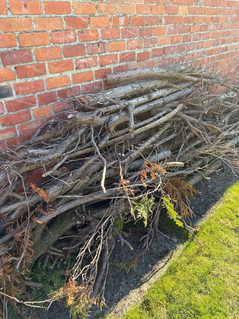 Gratis hout, Tuin en Terras, Minder dan 3 m³, Ophalen, Overige houtsoorten, Stammen