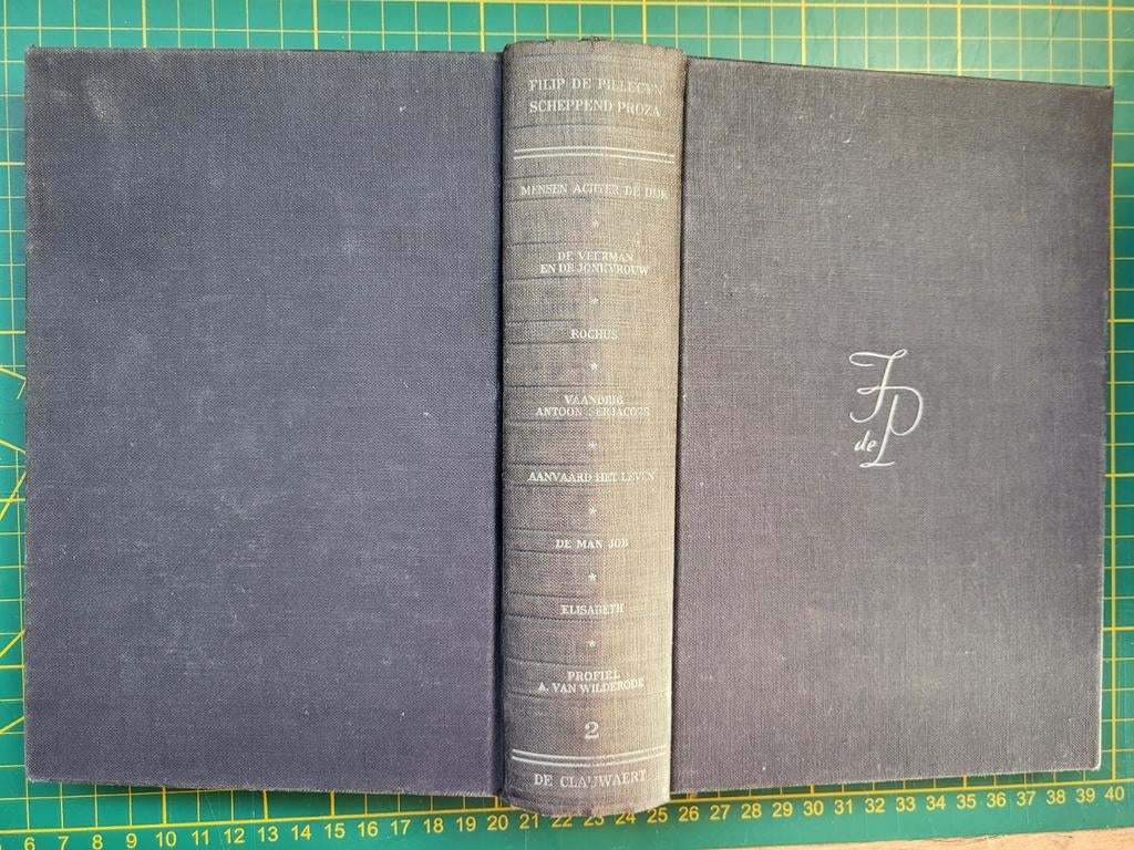 Filip de Pillecyn  - Scheppend proza - deel 2, Boeken, Ophalen of Verzenden, Gelezen