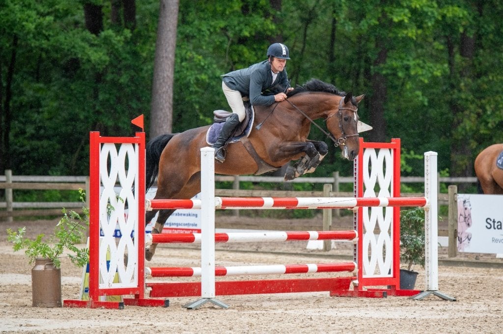 Brave 6jarige merrie, Merrie, Springpaard, Met stamboom, M