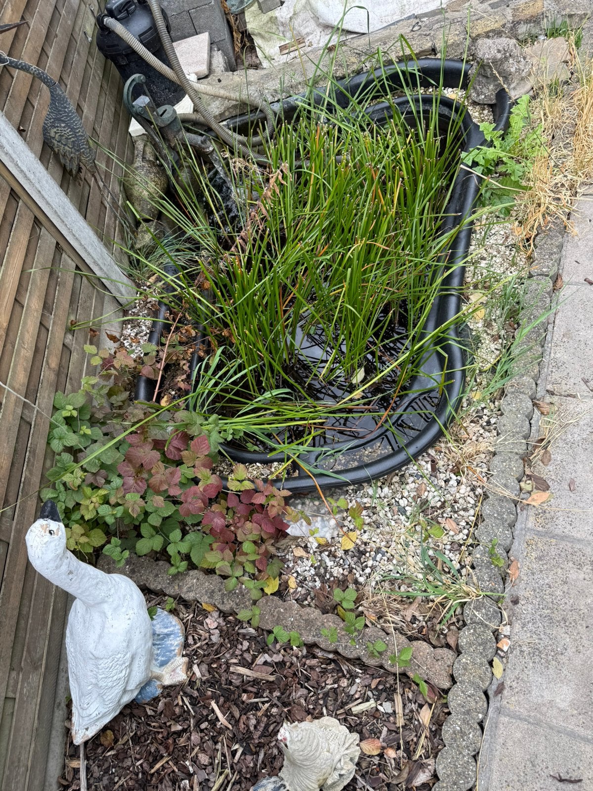 A vendre etang + pompe + filtre, Jardin & Terrasse, Enlèvement, Utilisé