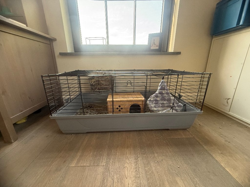 Caviakooi, Dieren en Toebehoren, Ophalen, Gebruikt, Kooi, Hamster