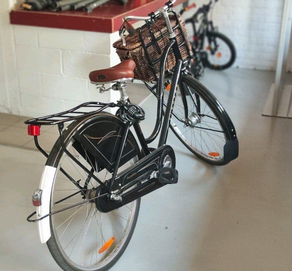Electra Retro stadsfiets met rieten mand - wijnstijl, Ophalen, Zo goed als nieuw, Dames