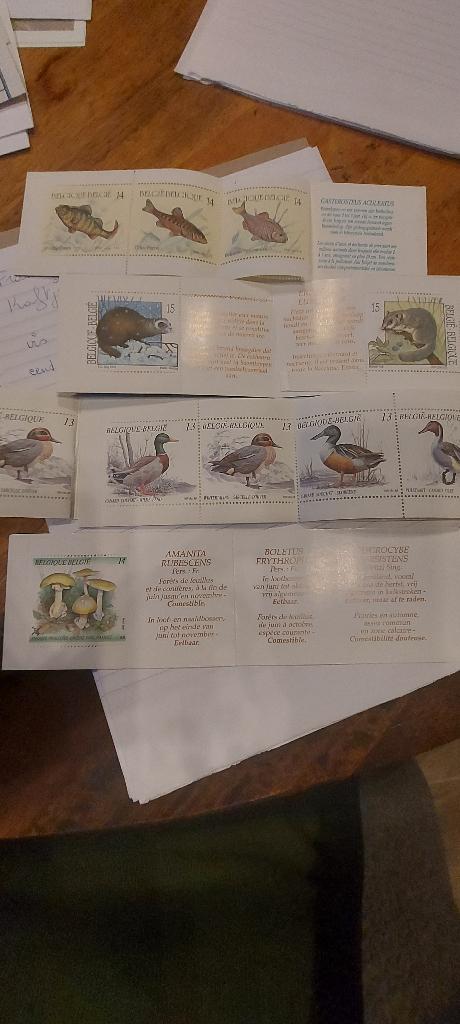 postzegels    kaftjes dieren, Postzegels en Munten, Postzegels | Thematische zegels, Ophalen, Postfris, Dier of Natuur