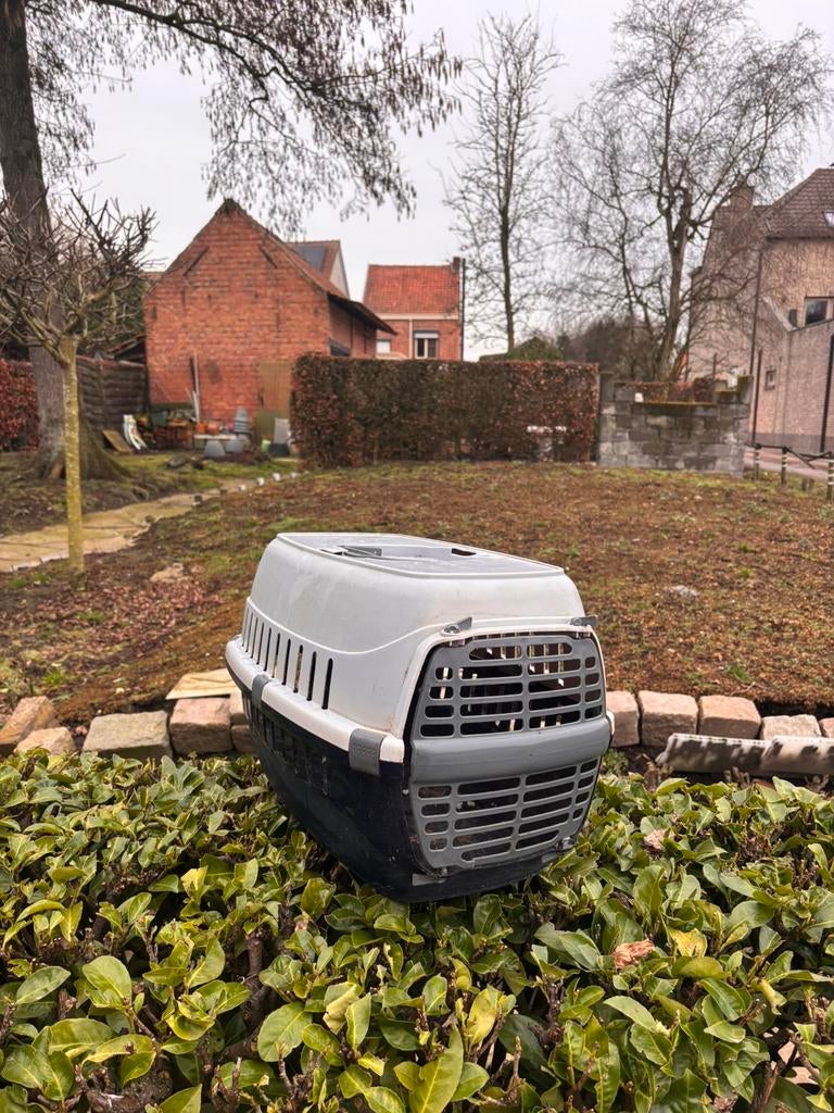 Katten transport doos, Ophalen, Zo goed als nieuw