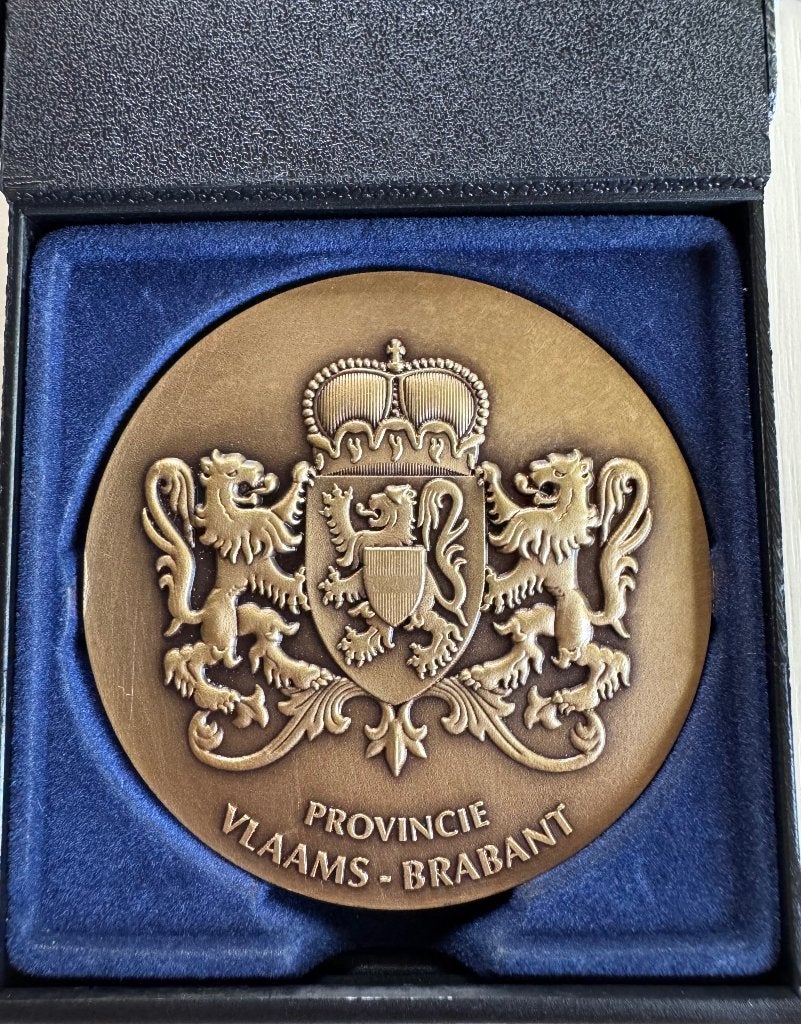 Médaille historique en bronze, Antiquités & Art, Antiquités | Bronze & Cuivre, Bronze, Enlèvement ou Envoi