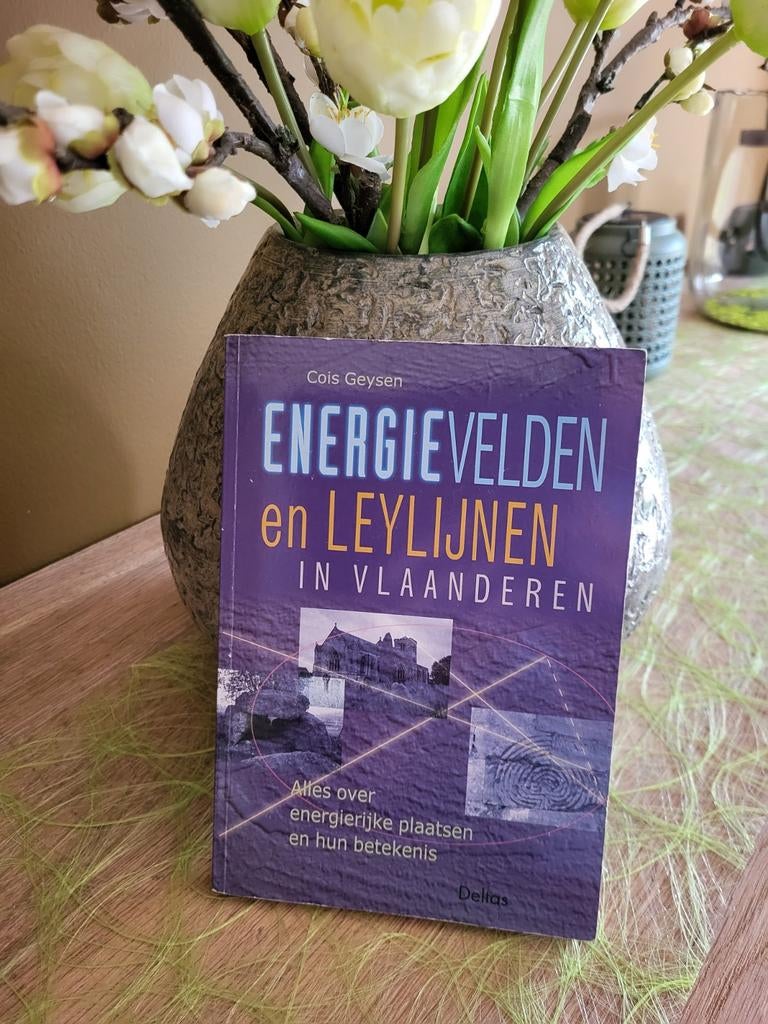 C. Geysen - Energievelden en leylijnen in Vlaanderen, Boeken, Esoterie en Spiritualiteit, Ophalen of Verzenden, C. Geysen