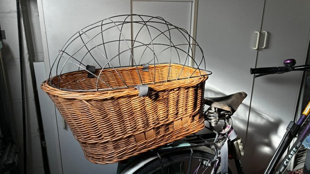 Fietsmand, Janvier, Sexe inconnu