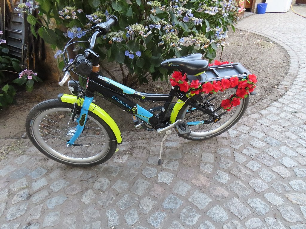 kinderfiets 20 jongen , volledig in orde, Ophalen, Gebruikt, Velgrem, Versnellingen