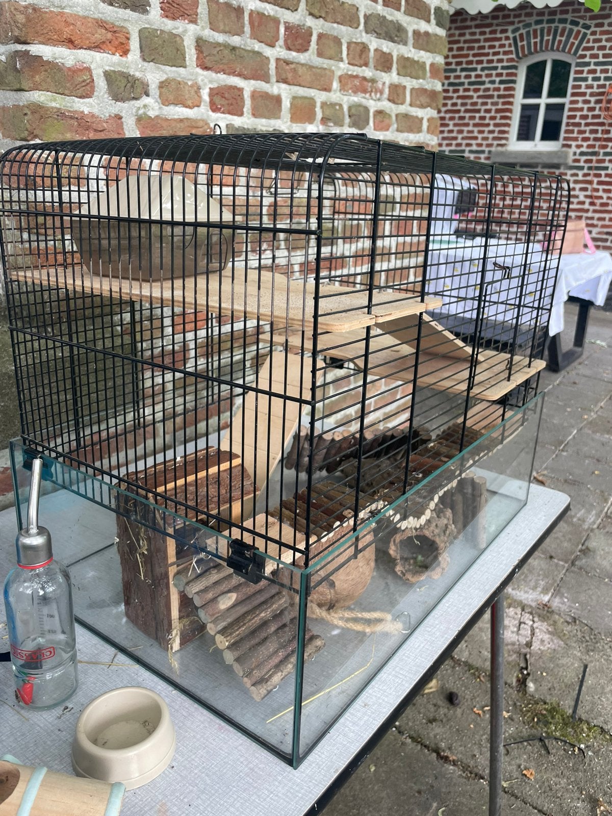 Glazen hamsterkooi met toebehoren, Niche, Moins de 60 cm, Utilisé, Hamster