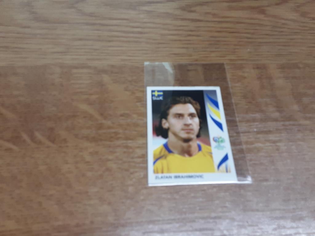 Panini Germany 2006, Verzamelen, Ophalen of Verzenden