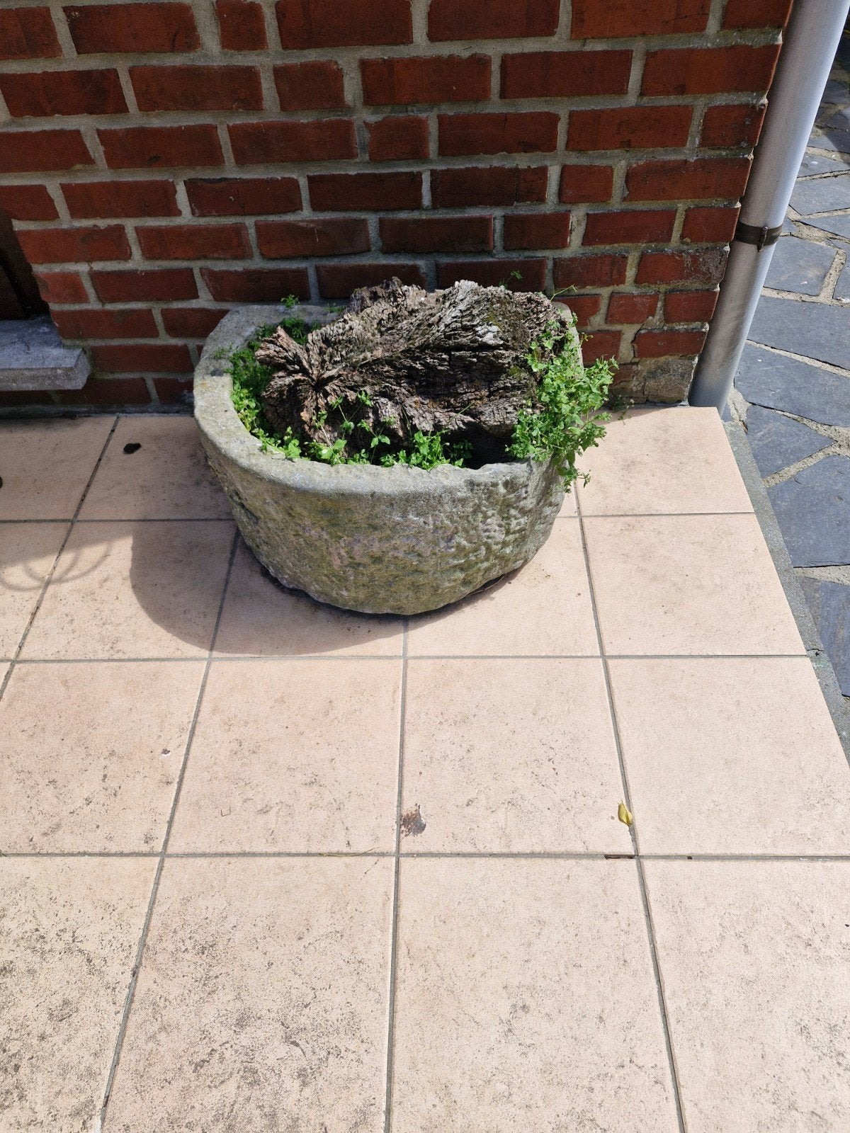 Bac en pierre bleue demi rond, Jardin & Terrasse, Enlèvement
