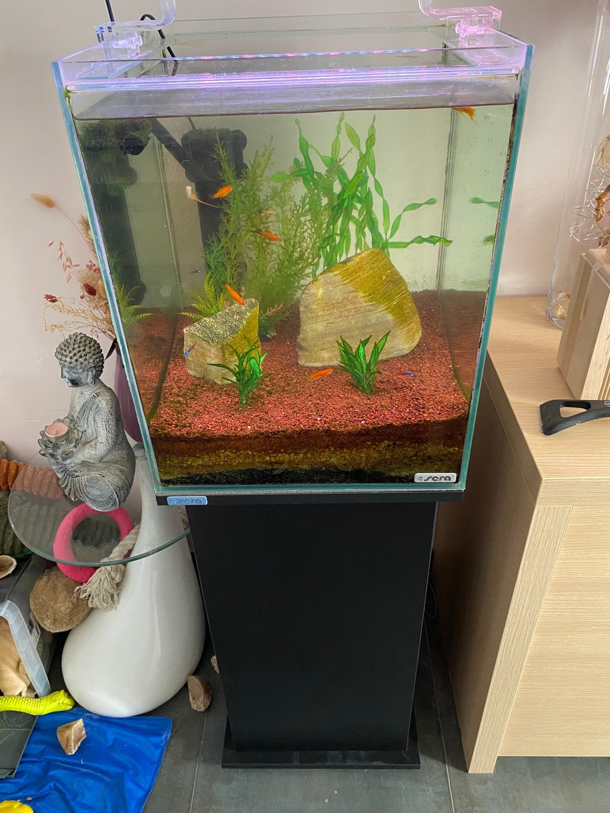 Aquarium Sera scaper cube 80 l + meuble, Sera, Aquarium d'eau douce rempli, Enlèvement, Utilisé