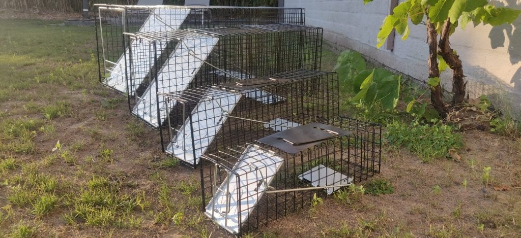SET 4 VAL RAT MARTER EKSTER VOS 110 EURO, Ophalen