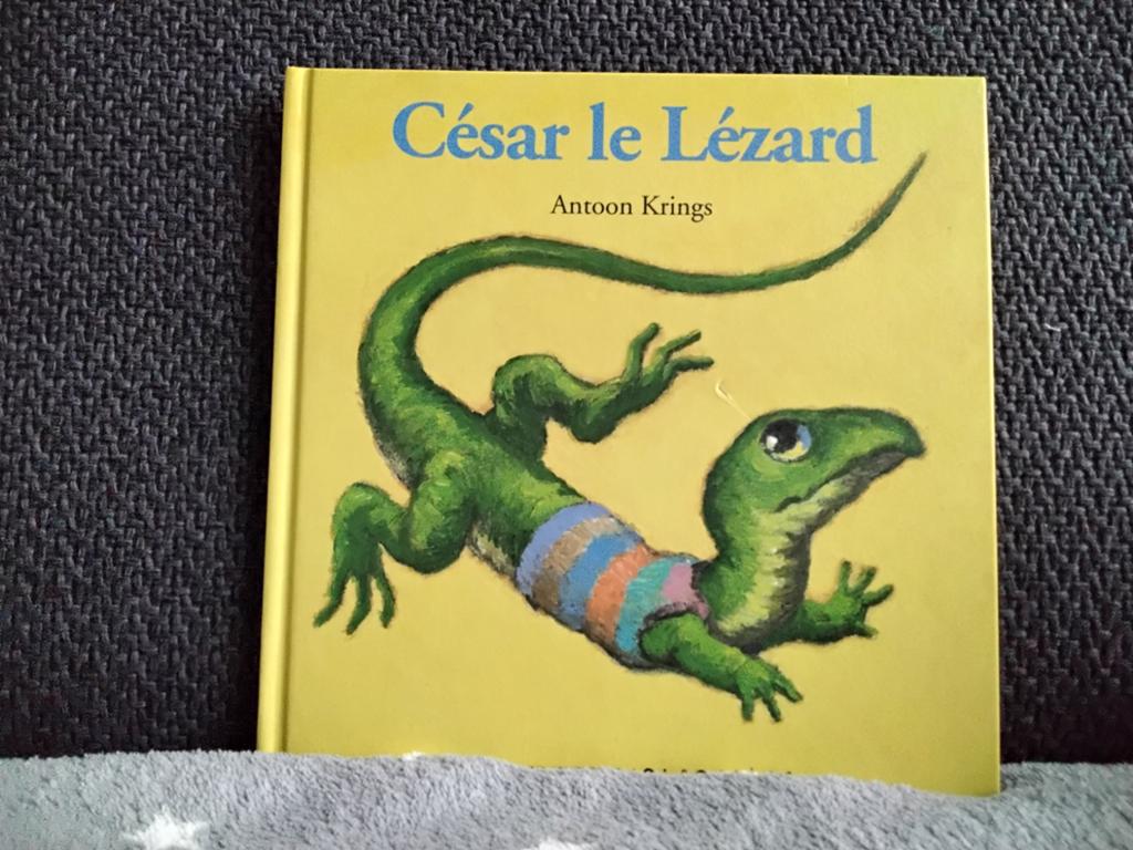 César le lézard, Enlèvement