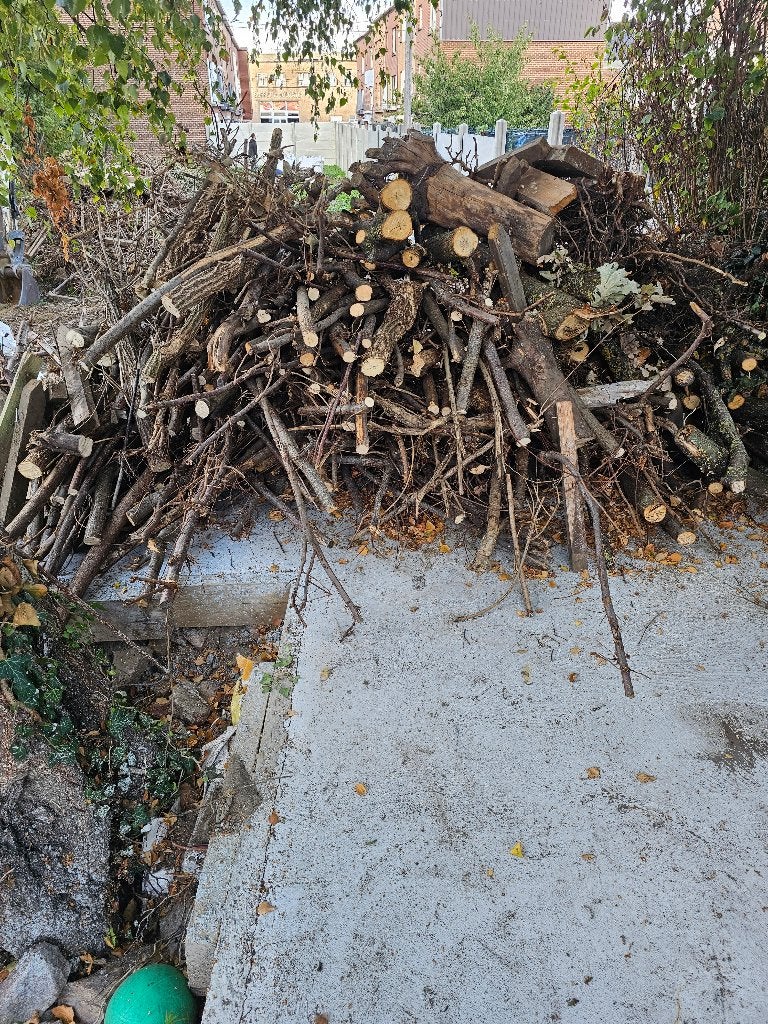 Bois pour chauffage, Enlèvement ou Envoi, Troncs d'arbres