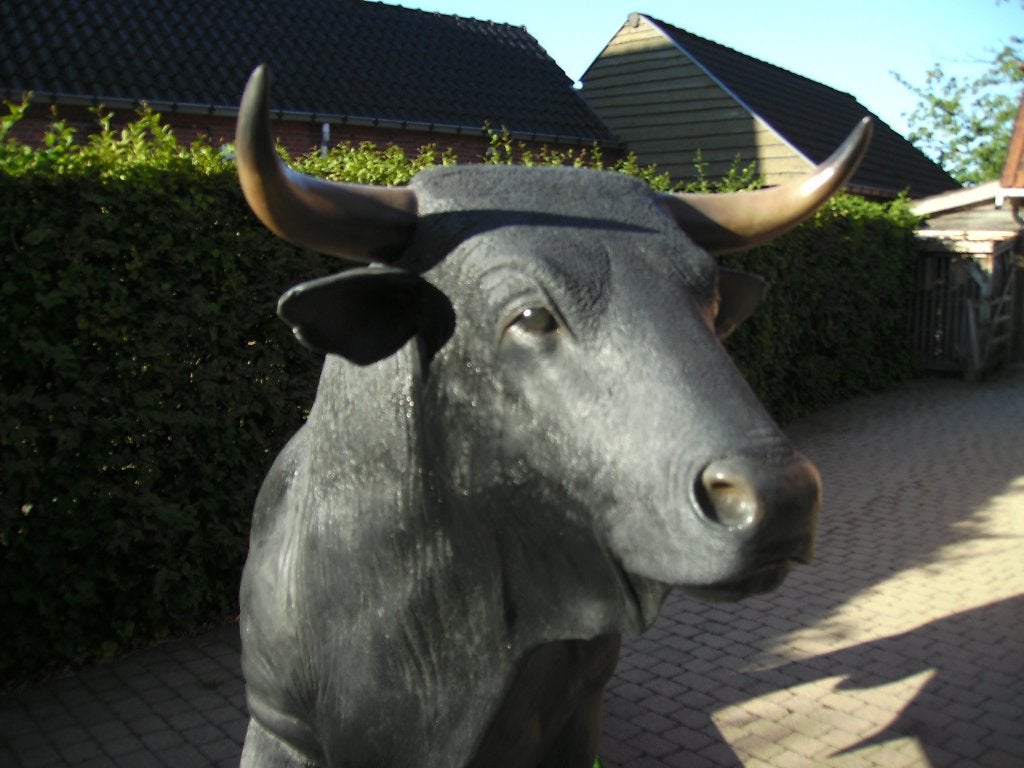 Spaanse stier, Ophalen, Zo goed als nieuw, Kunststof, Dierenbeeld