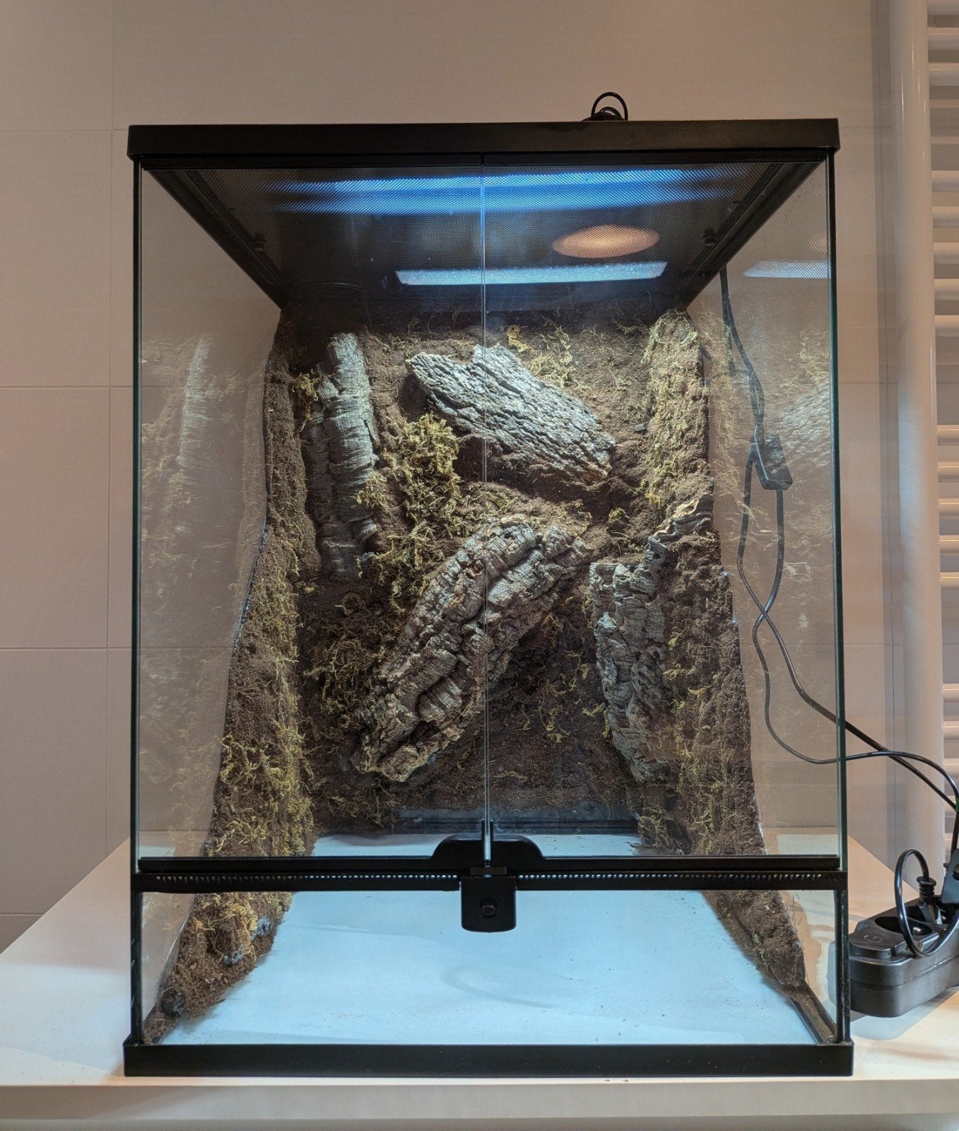 terrarium met custom made achterwand., Enlèvement