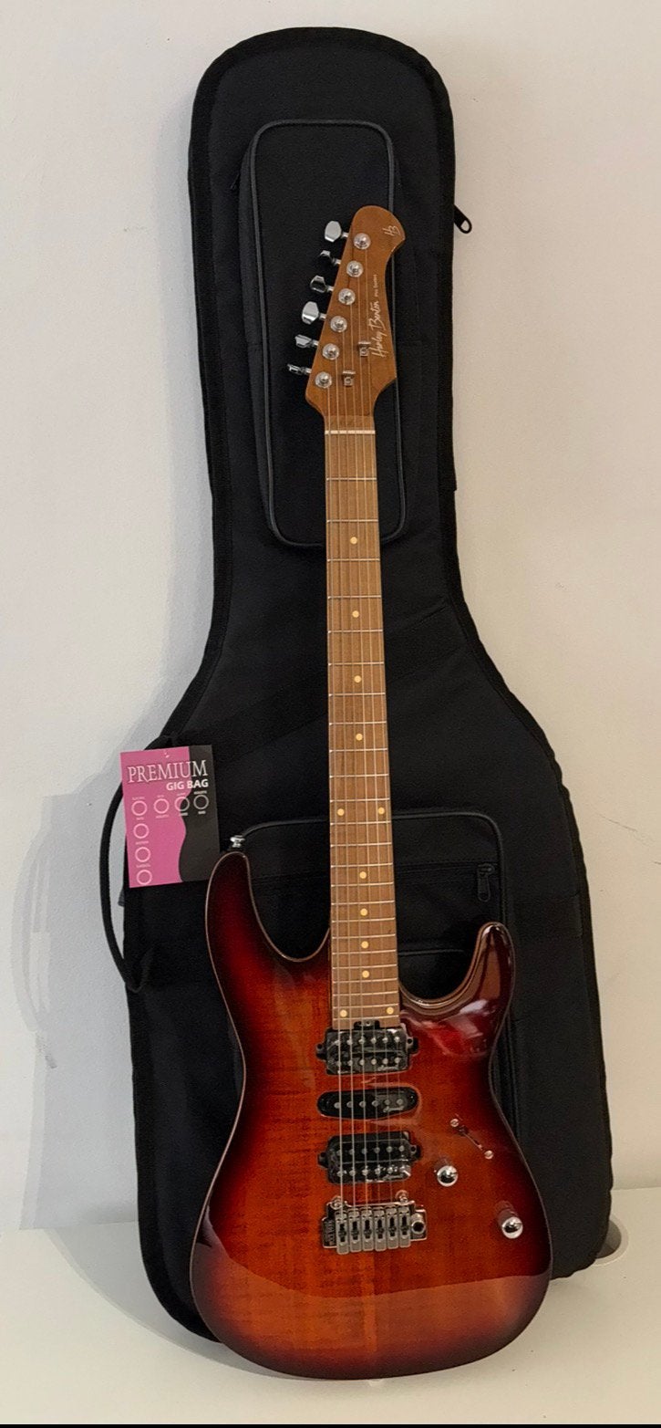 Harley benton pro series gitaar te koop, Muziek en Instrumenten, Ophalen, Zo goed als nieuw