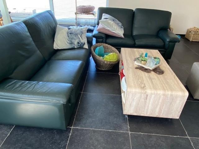 lederen salon, Ophalen, Gebruikt, Leer