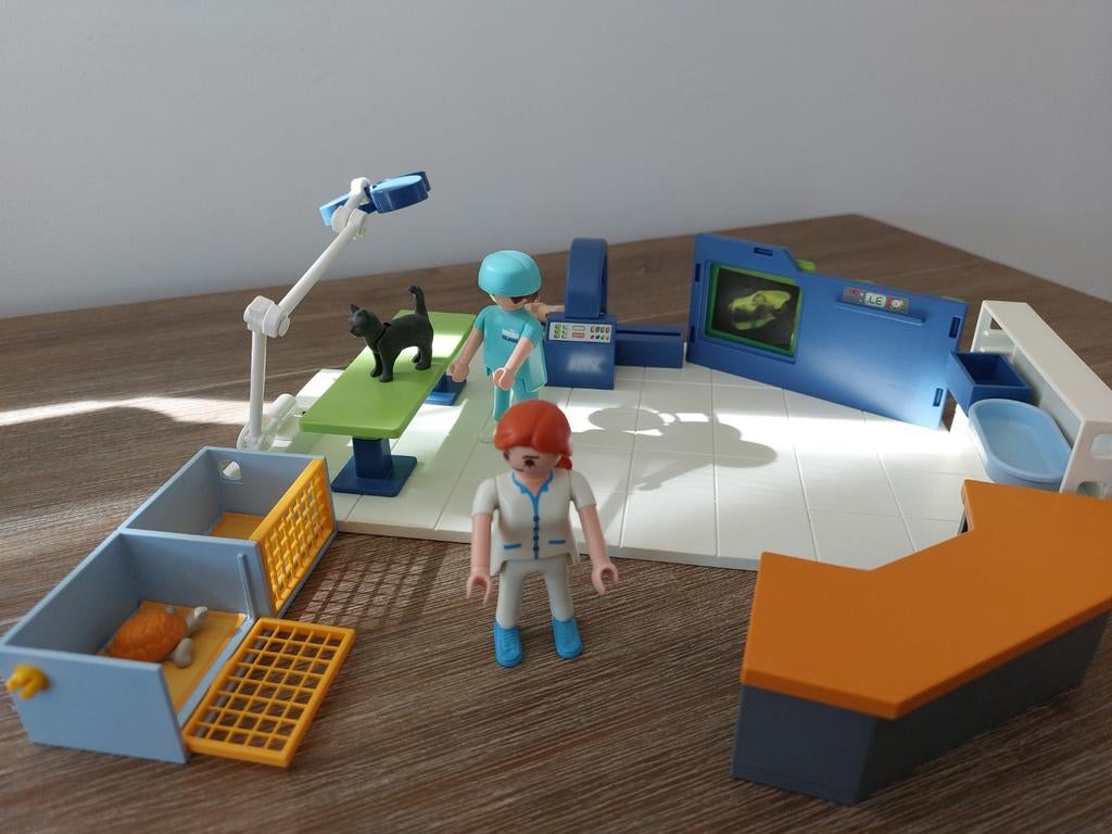 Cabinet vétérinaire playmobil, Enlèvement