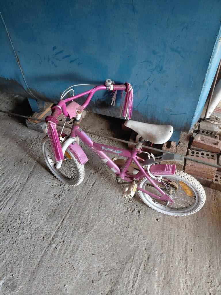 Bike girl pour enfants, Enlèvement