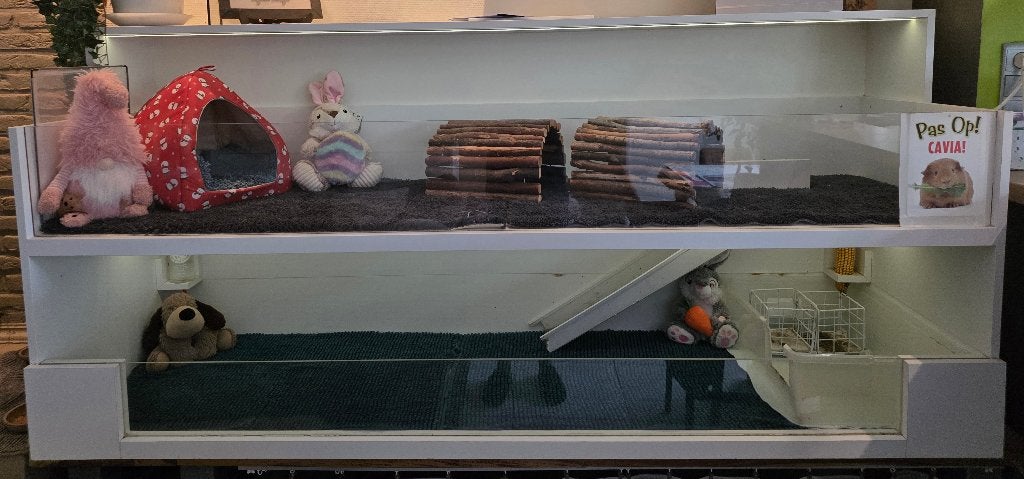 Caviakooi, Dieren en Toebehoren, Ophalen, 60 tot 90 cm, Hok, Cavia