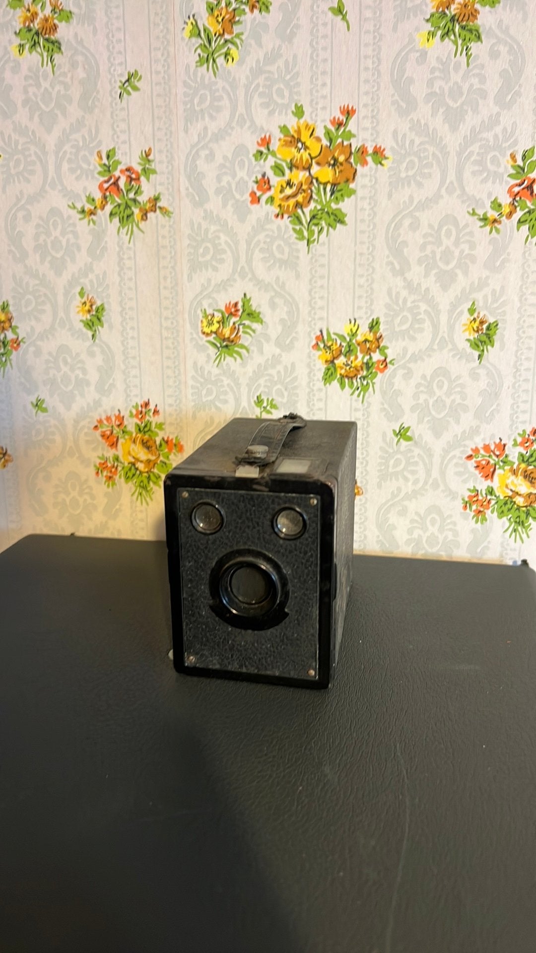 Appareil photo vintage, Ophalen, Gebruikt