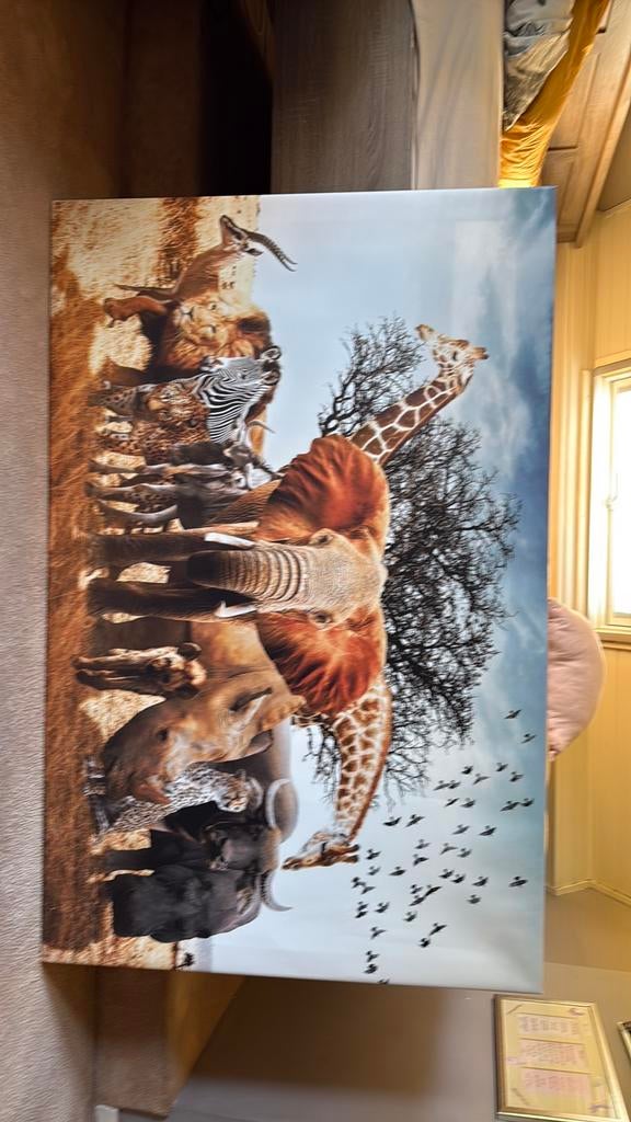 Gratis wand decoratie /canvas, Ophalen