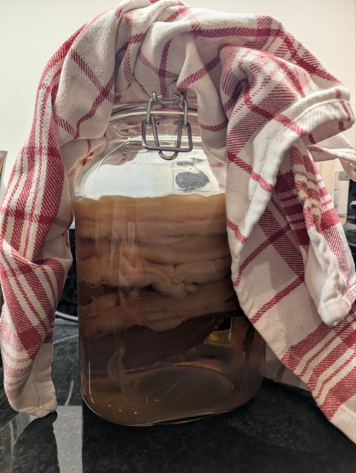 SCOBY (startcultuur om kombucha te maken), Enlèvement