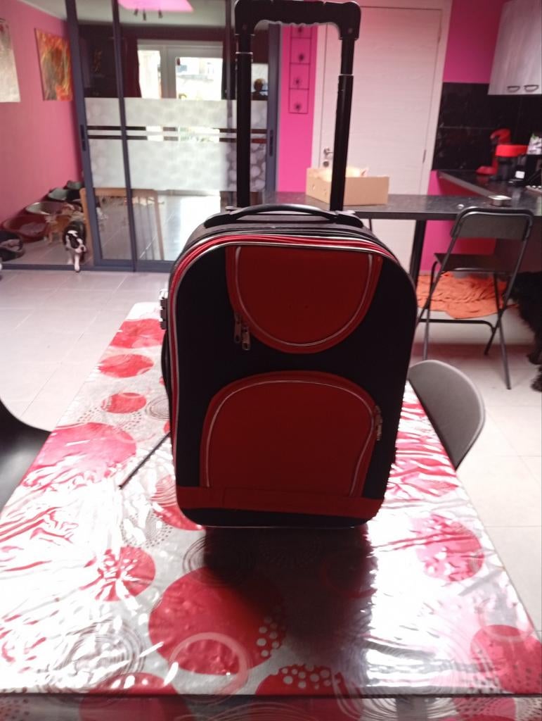 Valise de cabine trolley, Enlèvement ou Envoi