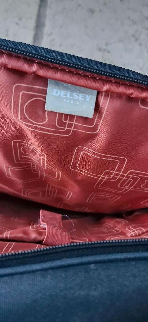 trolley DELSEY, Ophalen, Zo goed als nieuw, Wieltjes