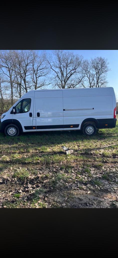 Peugeot, Autos, Achat, Peugeot