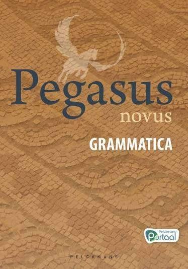 Cours de latin à Malines et en ligne par un prof expérimenté, Cours particulier, Leçon particulière