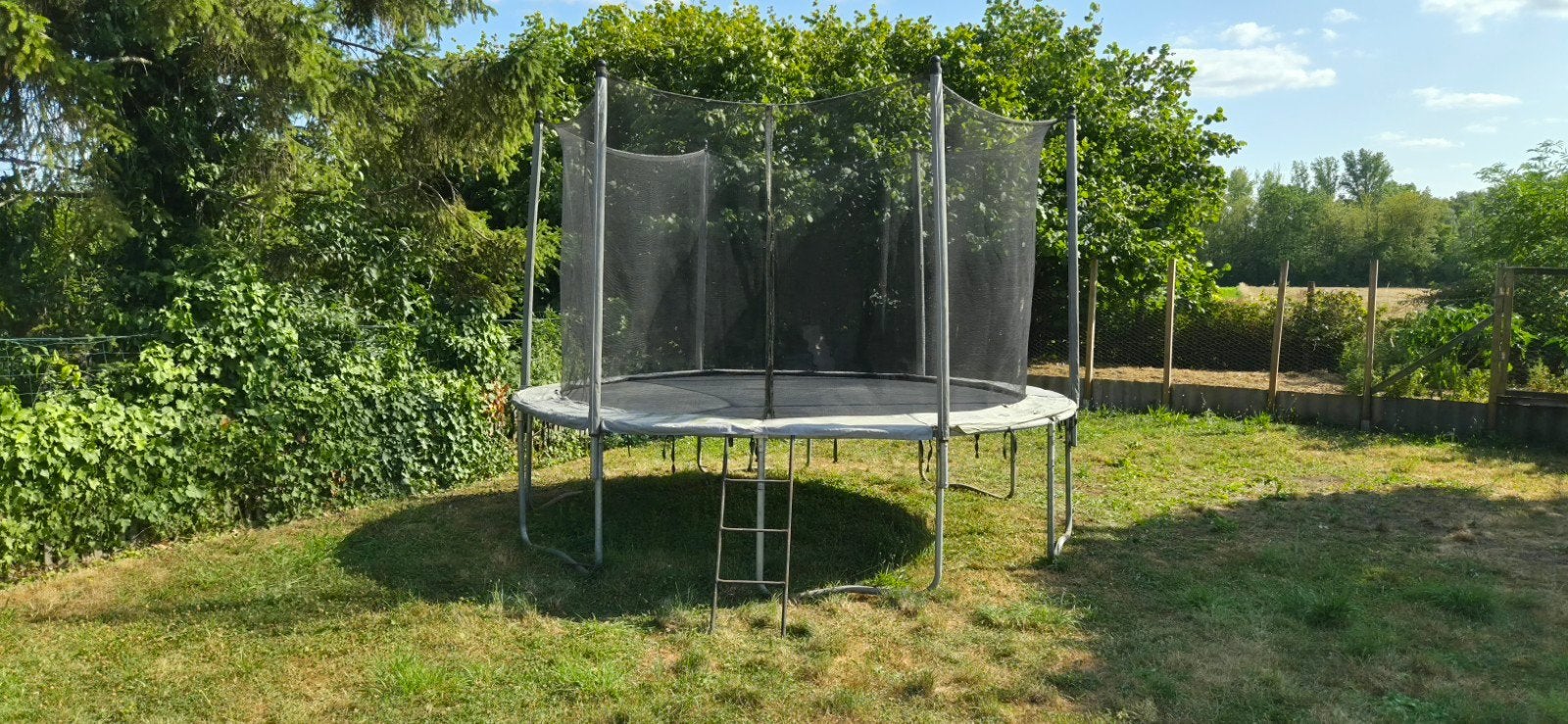 Trampoline domyos 360 avec échelle en bonne état, Enfants & Bébés, Jouets | Extérieur | Trampolines, Enlèvement, Utilisé