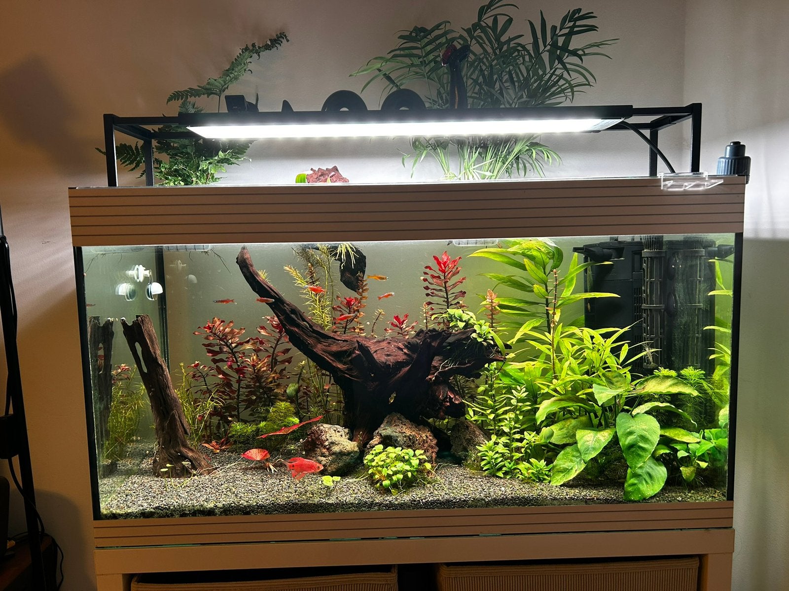 Aquarium, Animaux & Accessoires, Enlèvement, Pompe, Utilisé, Chihiros