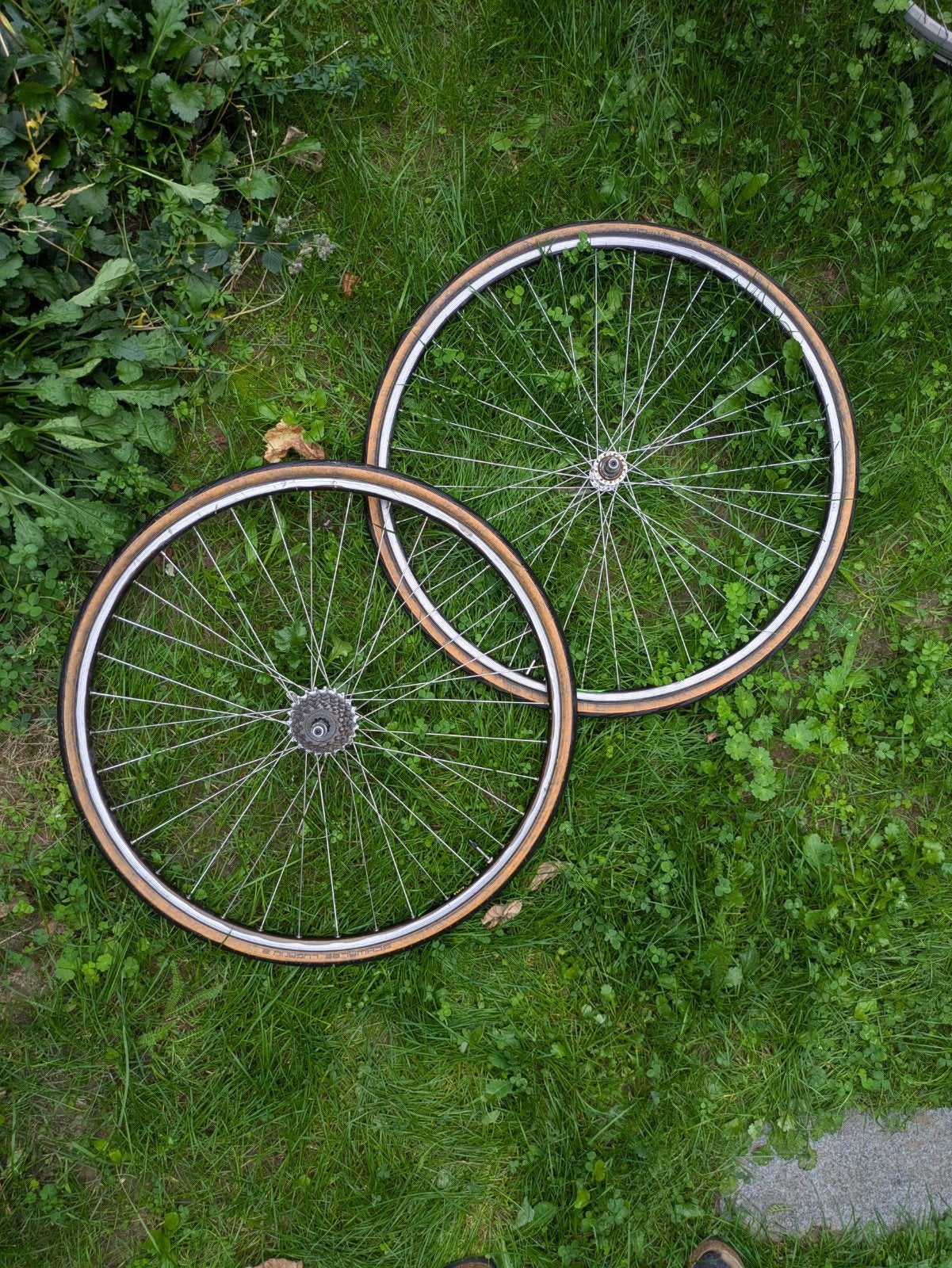 Fietswielen koersfiets 622x13 Alesa Exage Schwalbe Lugano, Gebruikt, Staal, Alesa, Racefiets