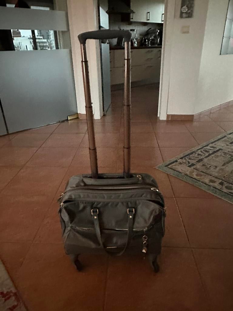 Valise de voyage Samsonite Business Roll verte, Enlèvement ou Envoi, Autres couleurs, 35 à 55 cm, Poignée extensible