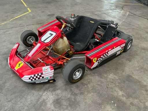 KART DE COURSE PARILLIA LEOPARD X30 125cc, Enlèvement, Utilisé, Kart